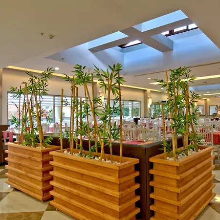 Tt Tropical Family Life Tropical 4* 사리게르메