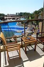 Tt Tropical Family Life Tropical 사리게르메